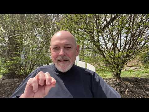 Now is Our Time 3: Big Picture, MG Online