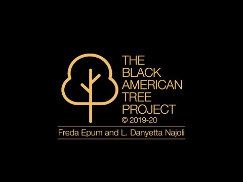 The Black American Tree Project