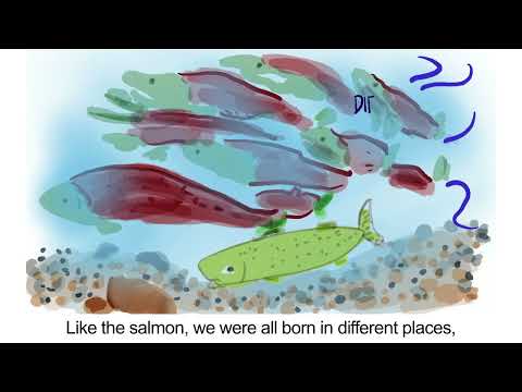 DDA Guiding Value: Inclusion